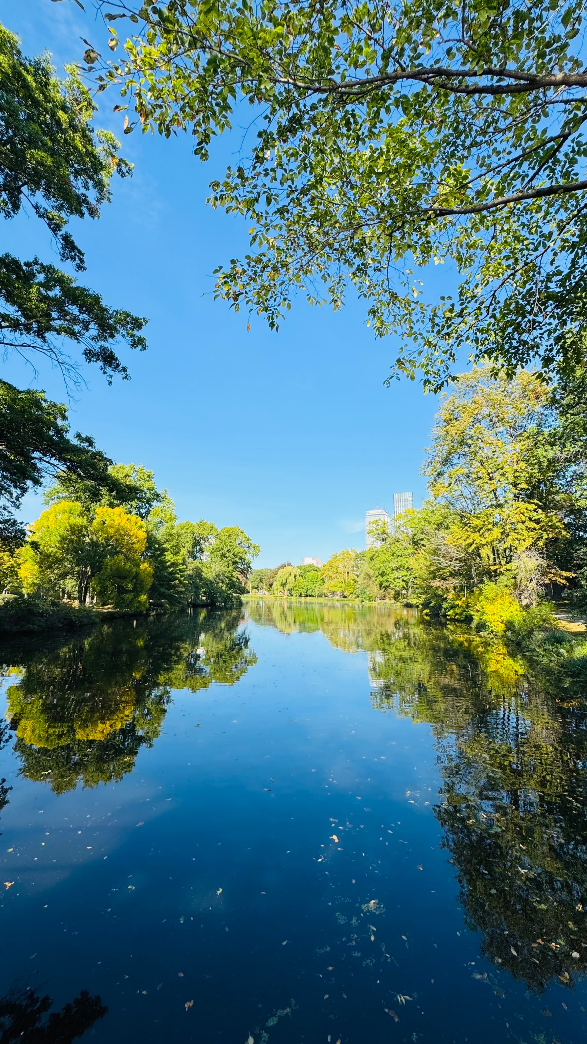 River Reflections