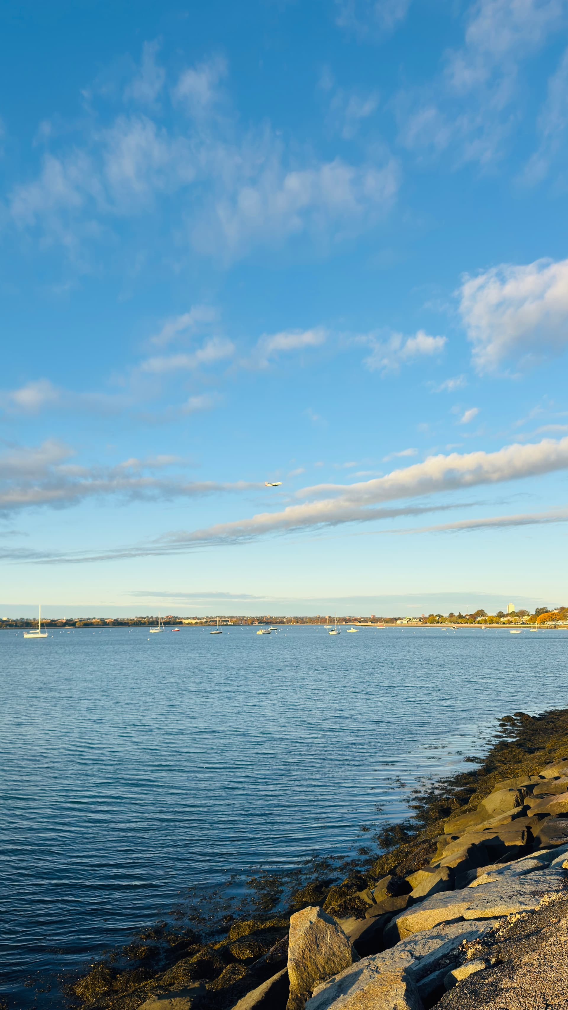 Boston Seashores